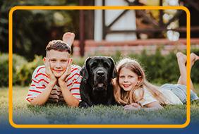 Evcil Hayvan Kabul Eden Kiralık Villalar 