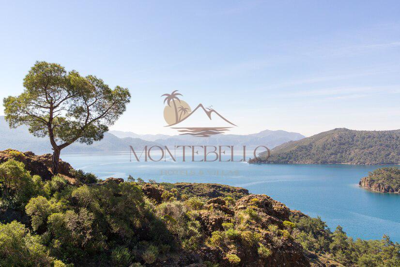 Amazon Koyu & Bördübek Koyu Hakkında Her Şey